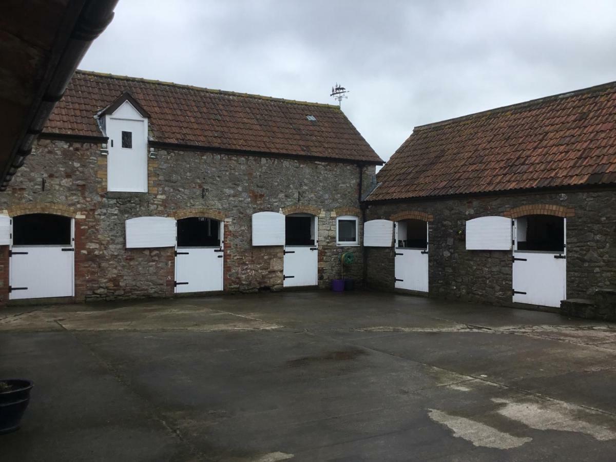 Vila Bickfield Annexe Ubley Exteriér fotografie